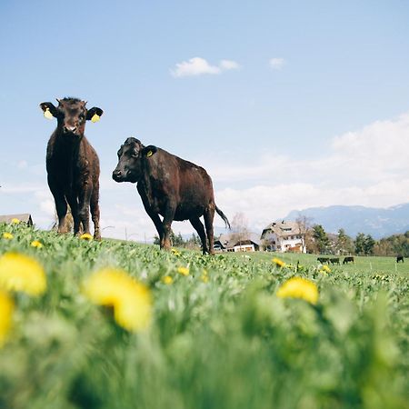 Alpin Farm Birke - Oberweidacherhof Klobenstein Exterior foto